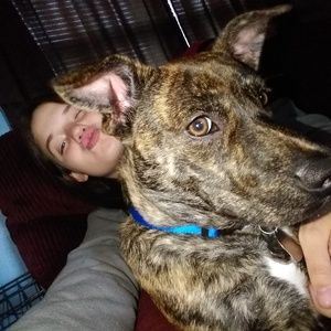 Meet your Posher, Paige